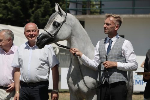 img-8515-edytowano-copy Międzynarodowe Mistrzostwa Koni Arabskich w Klikowej