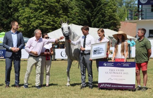 img-8536-edytowano-copy Międzynarodowe Mistrzostwa Koni Arabskich w Klikowej