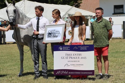 img-8554-edytowano-copy Międzynarodowe Mistrzostwa Koni Arabskich w Klikowej