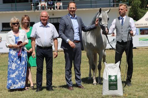 img-8561-edytowano-copy Międzynarodowe Mistrzostwa Koni Arabskich w Klikowej