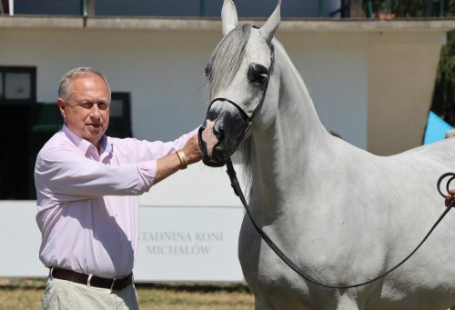 img-8574-edytowano-copy Międzynarodowe Mistrzostwa Koni Arabskich w Klikowej