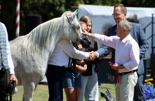 img-8721-edytowano-copy Międzynarodowe Mistrzostwa Koni Arabskich w Klikowej