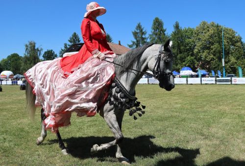 img-8768-edytowano-copy Międzynarodowe Mistrzostwa Koni Arabskich w Klikowej