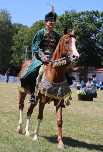 img-8771-edytowano-copy Międzynarodowe Mistrzostwa Koni Arabskich w Klikowej