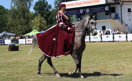 img-8778-edytowano-copy Międzynarodowe Mistrzostwa Koni Arabskich w Klikowej