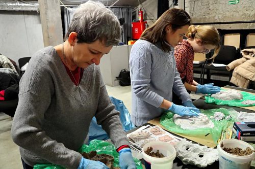 img-2124-edytowano-copy „Gdy maszkarony ożywają. Tarnowska Maszkarada u źródeł”