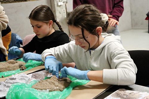 img-2126-edytowano-copy „Gdy maszkarony ożywają. Tarnowska Maszkarada u źródeł”