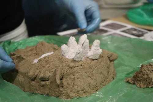 img-2143-copy „Gdy maszkarony ożywają. Tarnowska Maszkarada u źródeł”