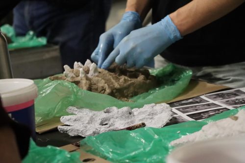 img-2196-copy „Gdy maszkarony ożywają. Tarnowska Maszkarada u źródeł”