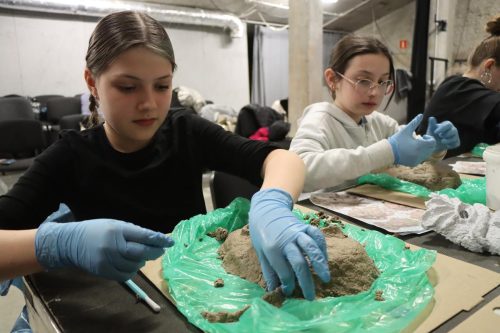 img-2209-copy „Gdy maszkarony ożywają. Tarnowska Maszkarada u źródeł”