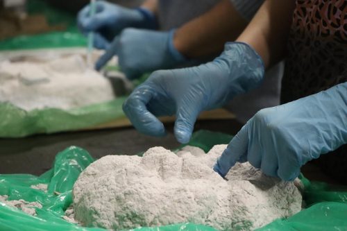 img-2224-copy „Gdy maszkarony ożywają. Tarnowska Maszkarada u źródeł”