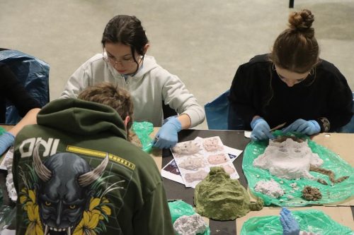 img-2234-copy „Gdy maszkarony ożywają. Tarnowska Maszkarada u źródeł”