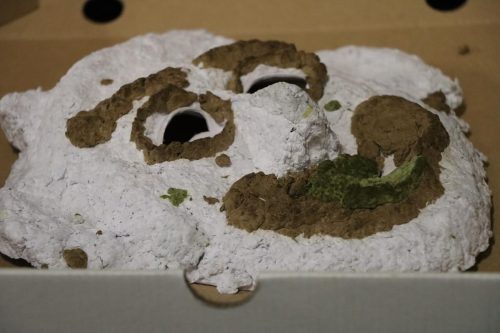 img-2275-copy „Gdy maszkarony ożywają. Tarnowska Maszkarada u źródeł”