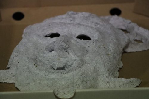 img-2276-copy „Gdy maszkarony ożywają. Tarnowska Maszkarada u źródeł”