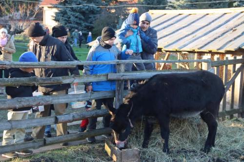 1a-Copy Szopka u Bernardynów