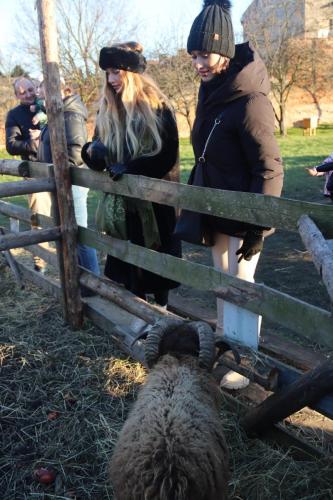 20-Copy Szopka u Bernardynów