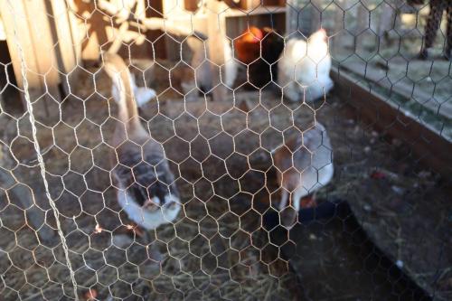 26-Copy Szopka u Bernardynów