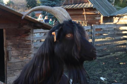 30-Copy Szopka u Bernardynów