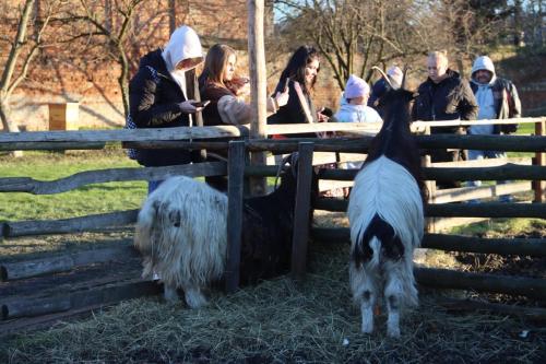 31-Copy Szopka u Bernardynów