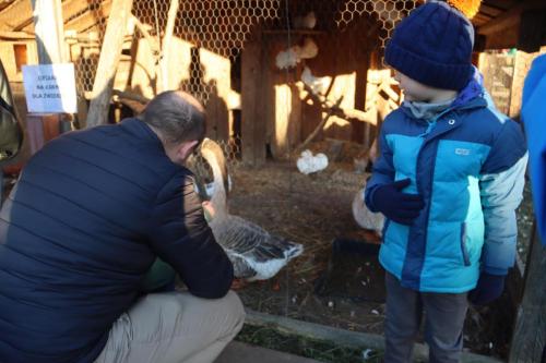 35-Copy Szopka u Bernardynów
