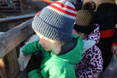 5-Copy Szopka u Bernardynów