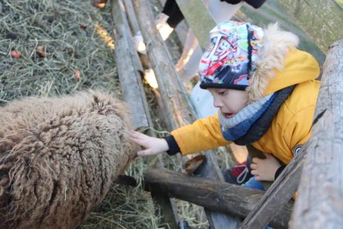 7-Copy Szopka u Bernardynów