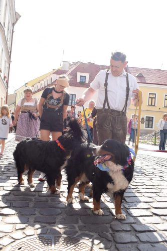 11 „Z Sercem dla Berneńczyków” – Parada Psiej Miłości w Tarnowie