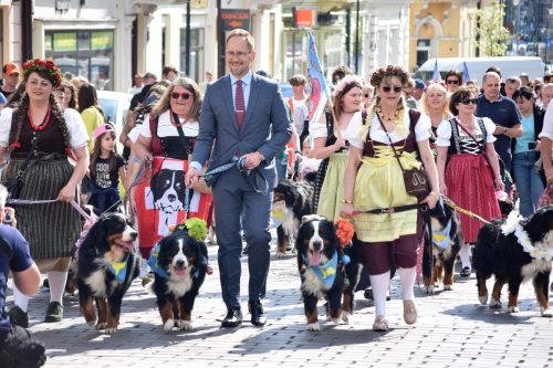 13 „Z Sercem dla Berneńczyków” – Parada Psiej Miłości w Tarnowie