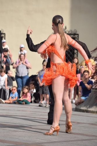 16 „Z Sercem dla Berneńczyków” – Parada Psiej Miłości w Tarnowie