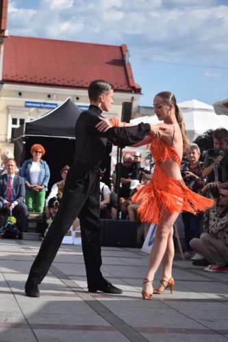 17 „Z Sercem dla Berneńczyków” – Parada Psiej Miłości w Tarnowie