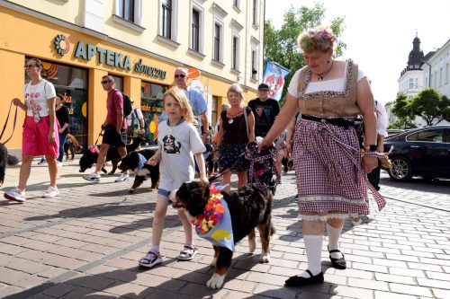 2 „Z Sercem dla Berneńczyków” – Parada Psiej Miłości w Tarnowie
