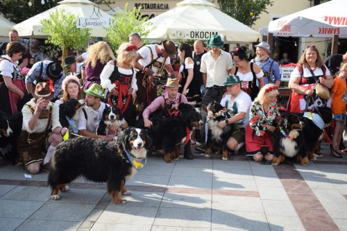 35 „Z Sercem dla Berneńczyków” – Parada Psiej Miłości w Tarnowie