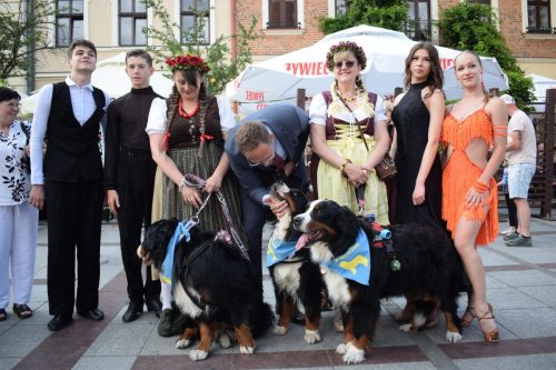 41 „Z Sercem dla Berneńczyków” – Parada Psiej Miłości w Tarnowie