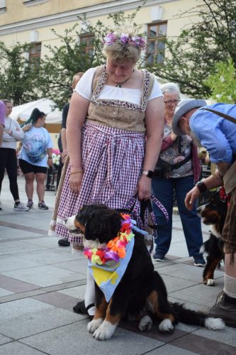 43 „Z Sercem dla Berneńczyków” – Parada Psiej Miłości w Tarnowie