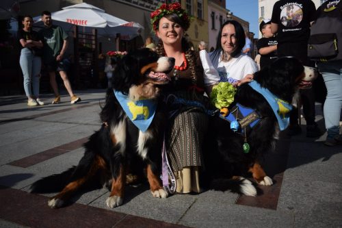 45 „Z Sercem dla Berneńczyków” – Parada Psiej Miłości w Tarnowie