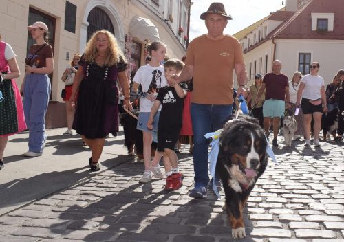 5 „Z Sercem dla Berneńczyków” – Parada Psiej Miłości w Tarnowie
