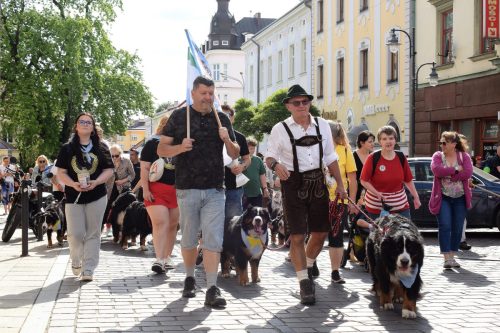 9 „Z Sercem dla Berneńczyków” – Parada Psiej Miłości w Tarnowie