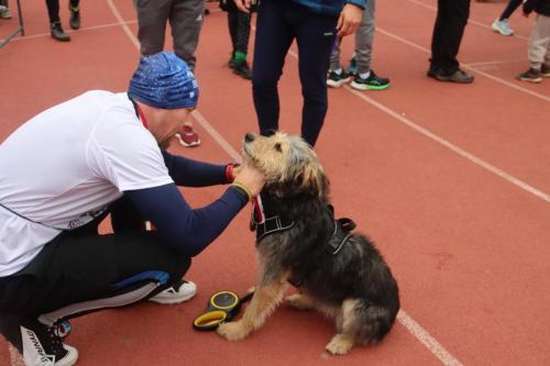 img-1285-copy 29 bieg Sokołów z okazji Święta Niepodległości - część 3