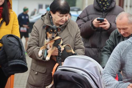 img-1070-copy 29 bieg Sokołów z okazji Święta Niepodległości - część 2