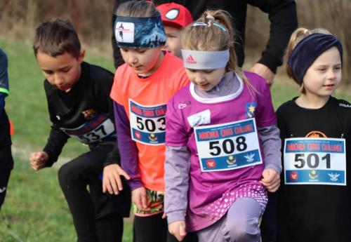 img-1115-edytowano-copy Marcinka Cross Challenge KIDS - Bieg Dzieci