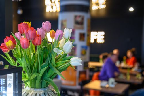 DUSZE6 FunFest 2026 – „Przyjazne dusze” Teatru Capitol za nami!