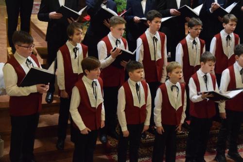 DSC_0591-Copy Kolędowanie przy żłóbku - Bazylika katedralna