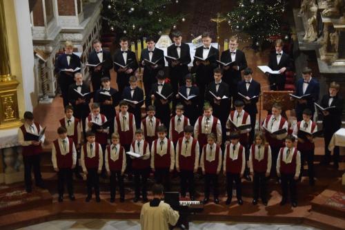 DSC_0642-Copy Kolędowanie przy żłóbku - Bazylika katedralna