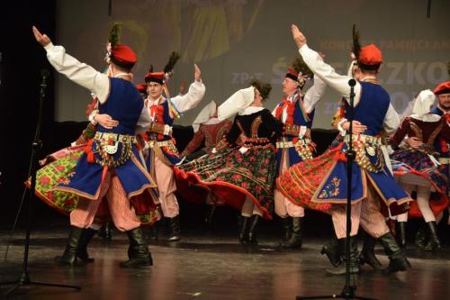 dsc-1785-copy Koncert pamięci Andrzeja Radzika