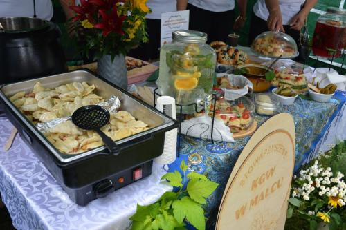 DSC_5876-3d9adc10 POWIAT DĄBROWSKI - BEZPIECZNIE I ZE SMAKIEM