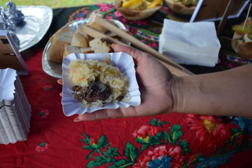 DSC_5940-4efbef9e POWIAT DĄBROWSKI - BEZPIECZNIE I ZE SMAKIEM