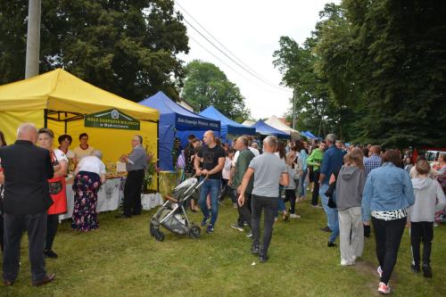 DSC_6036-64b85f61 POWIAT DĄBROWSKI - BEZPIECZNIE I ZE SMAKIEM