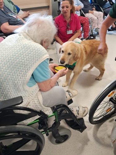 Dogoterapia-03 Psy, dzieci i wolontariusze. W Mościckim Centrum Medycznym terapia zaczyna się od bliskości