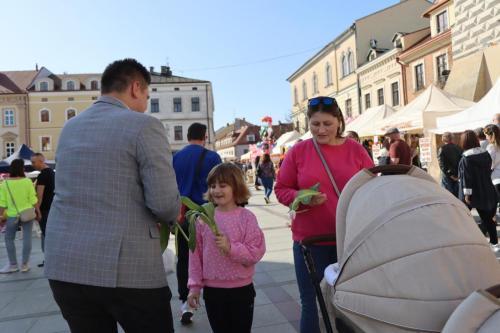 img-8576-copy DZIEŃ KOBIET – TULIPANY I SŁOŃCE