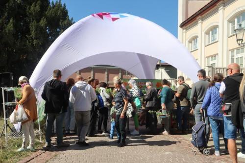 37 Tarnowski Dzień Miejskiego Ogrodnika